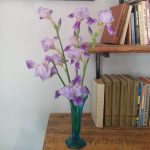 Ирисы уже отцвели, но осталась память в вазе 60-х (Борисов)