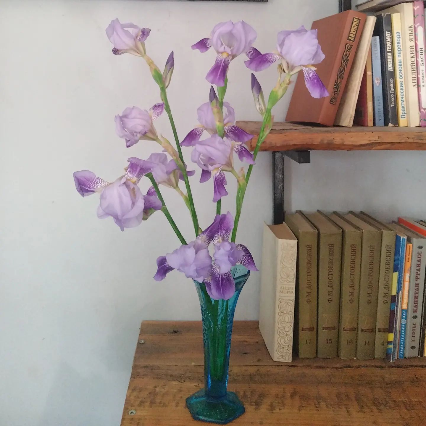 Ирисы уже отцвели, но осталась память в вазе 60-х (Борисов)