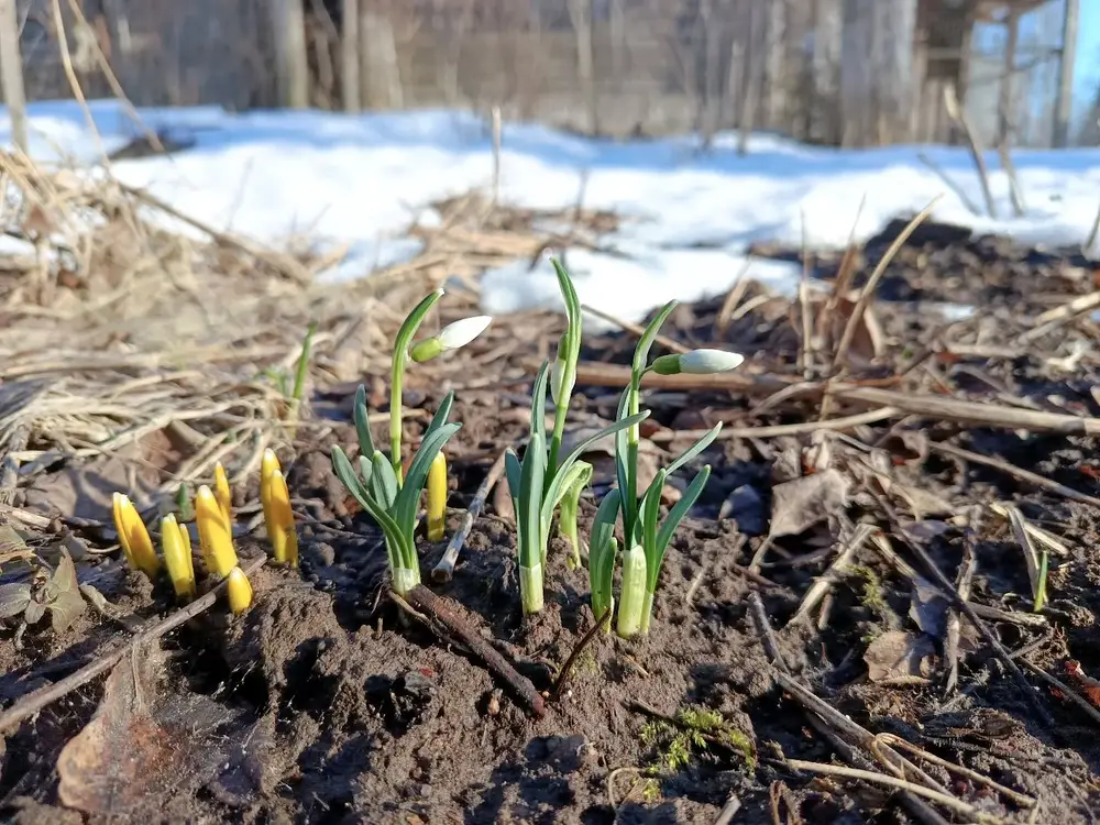 Можно сказать, что зима закончилась